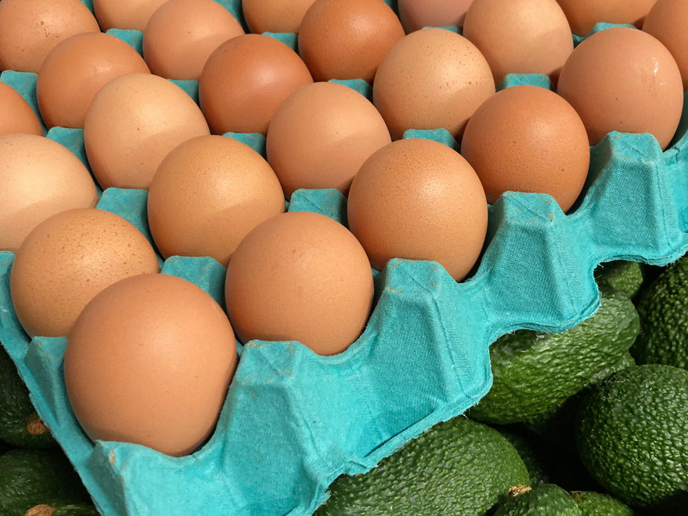 Freerange eggs from Otaki